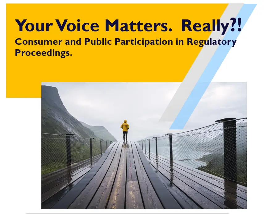 Man walking alone on bridge surrounded by mountains as a decorative image on Your Voice Matters research report.